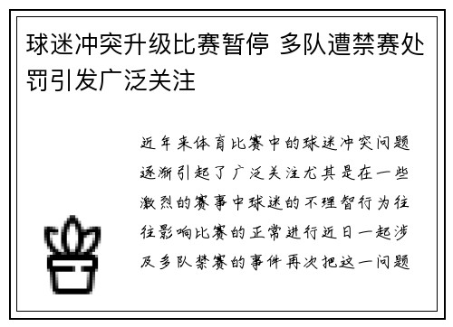 球迷冲突升级比赛暂停 多队遭禁赛处罚引发广泛关注