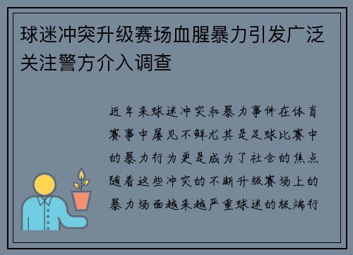球迷冲突升级赛场血腥暴力引发广泛关注警方介入调查
