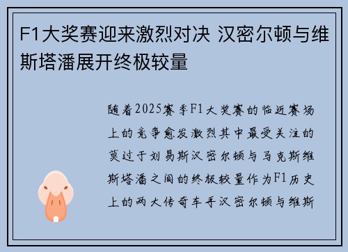 F1大奖赛迎来激烈对决 汉密尔顿与维斯塔潘展开终极较量