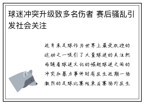 球迷冲突升级致多名伤者 赛后骚乱引发社会关注